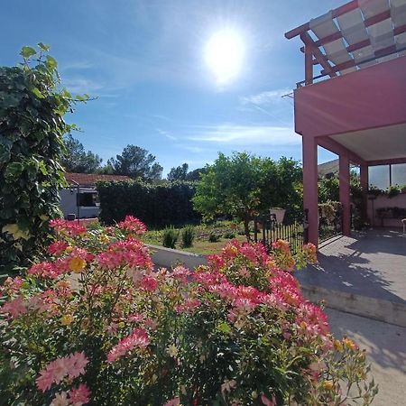 Apartman Brigita Lejlighed Biograd Na Moru Eksteriør billede
