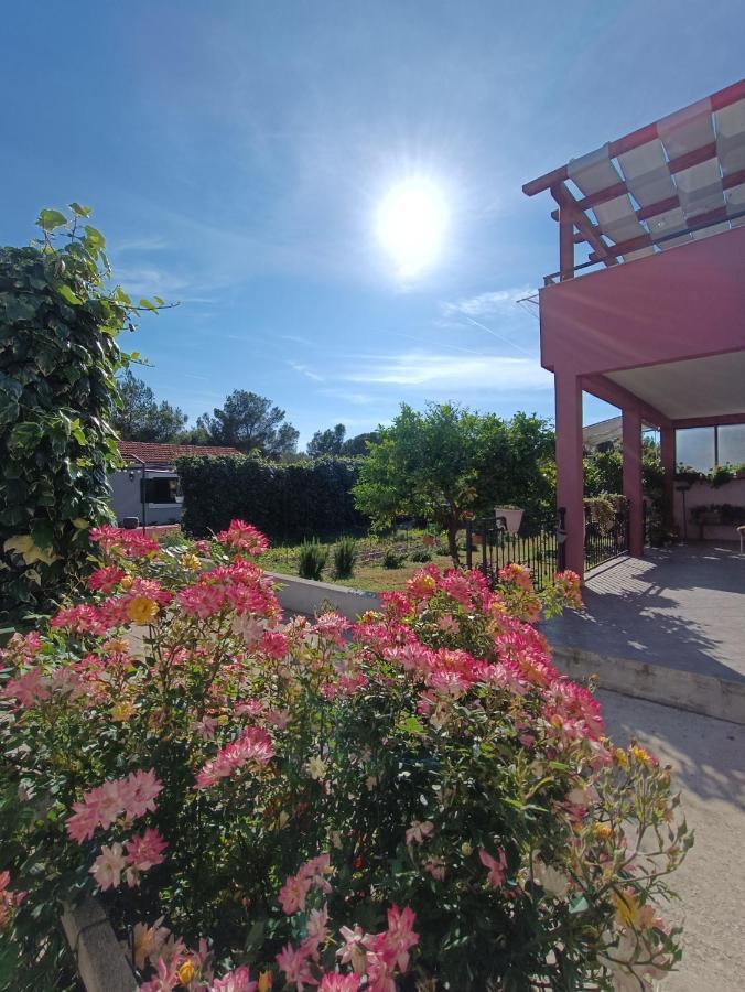 Apartman Brigita Lejlighed Biograd Na Moru Eksteriør billede