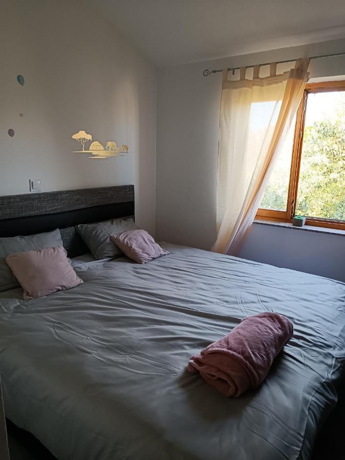 Apartman Brigita Lejlighed Biograd Na Moru Eksteriør billede